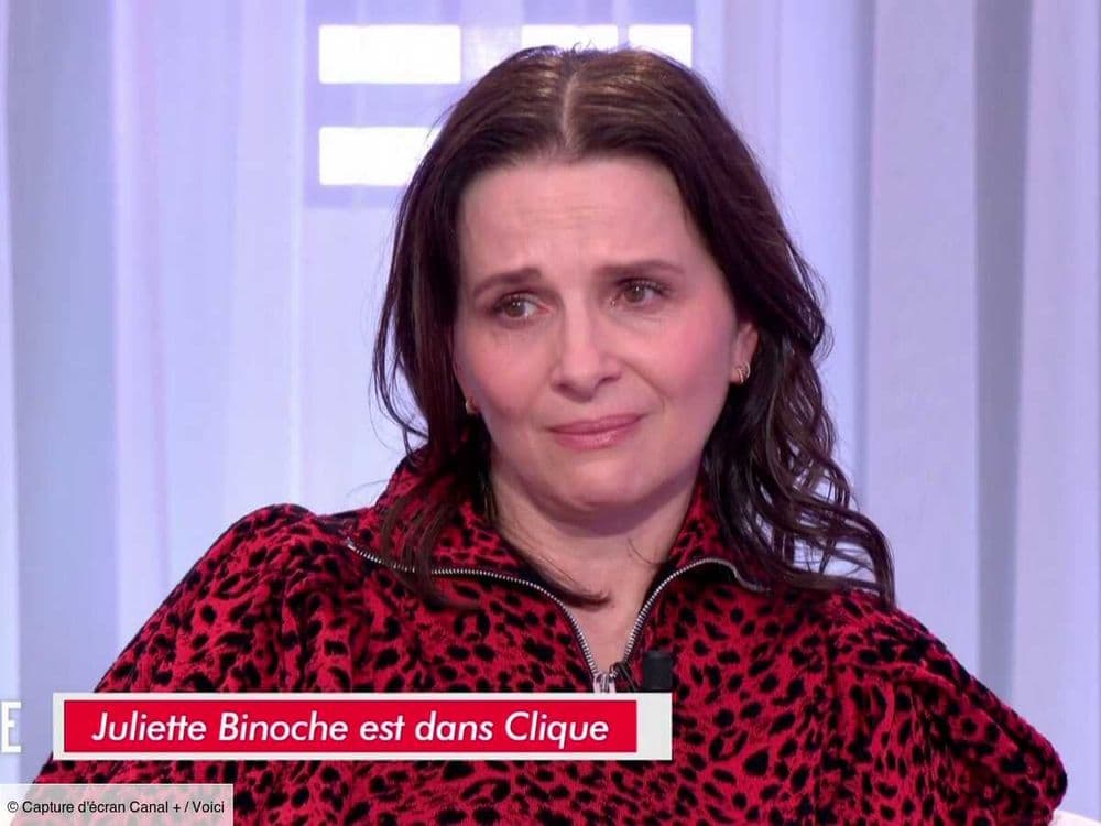 "Tu n'aurais pas dû vivre ça" : Juliette Binoche fond en larmes en évoquant ses agressions sexuelles (ZAPTV)