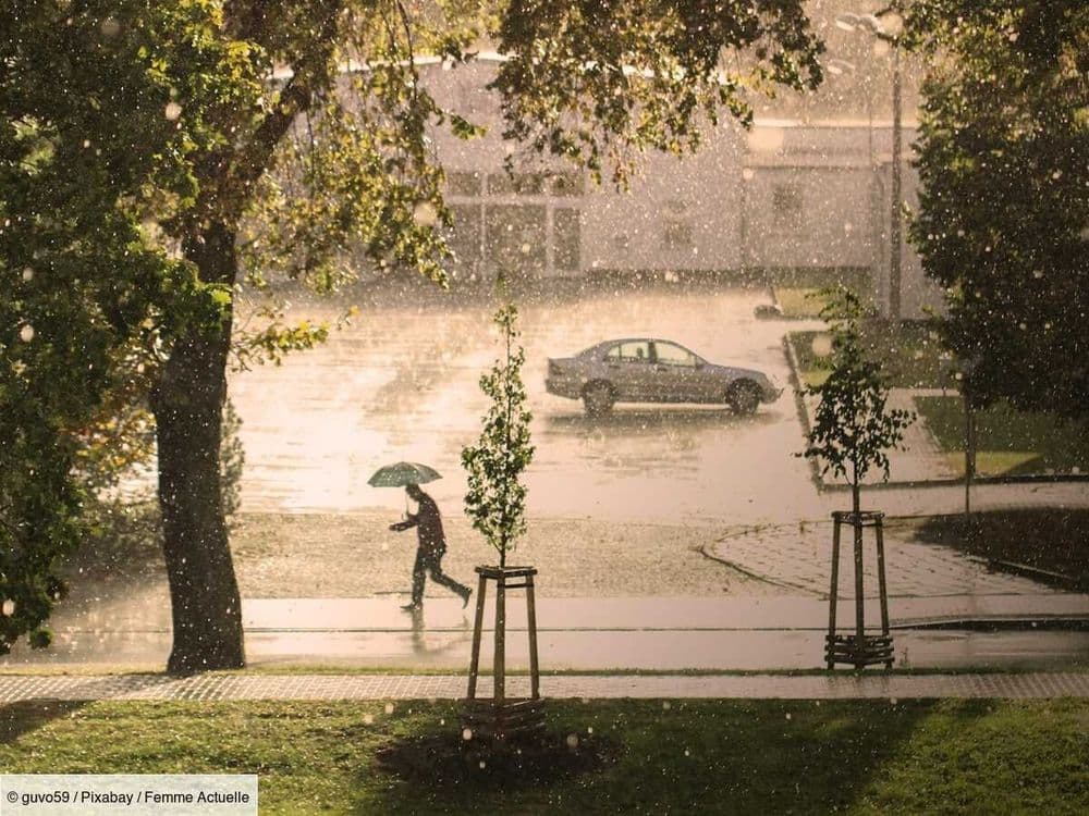 Impressionnants orages : au moins deux morts, dont un enfant de 12 ans tué par la chute d'un arbre