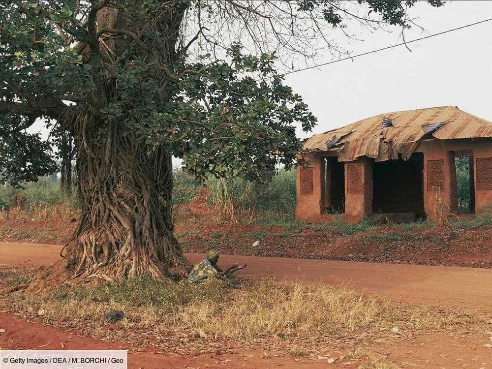 Une étude met en lumière les anciens sacrifices vaudous du royaume du Dahomey