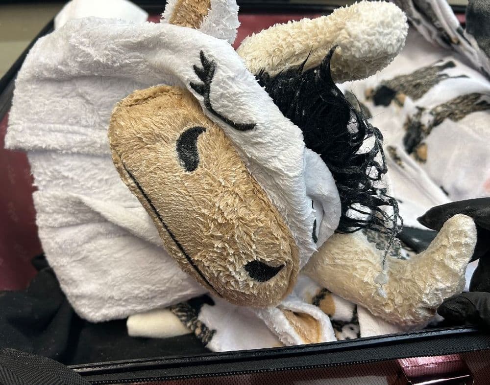 Un voyageur arrêté aux Etats-Unis avec un pyjama de vache imbibé de méthamphétamine