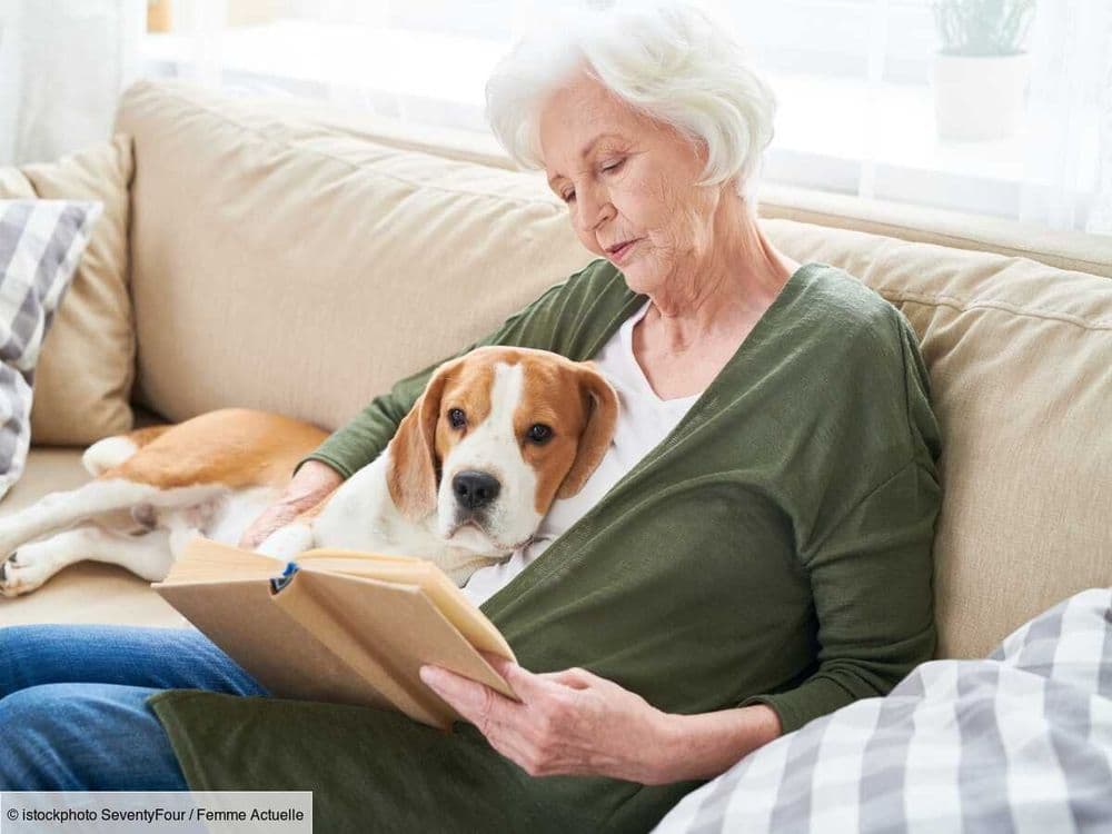 Les animaux peuvent-ils souffrir de la maladie d'Alzheimer ? La réponse d'une vétérinaire comportementaliste