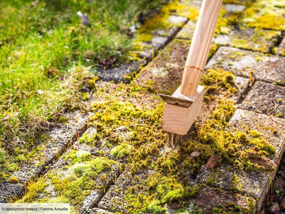 Mousse verte sur le balcon ou la terrasse : comment l'enlever grâce à une astuce facile et 2 produits ?