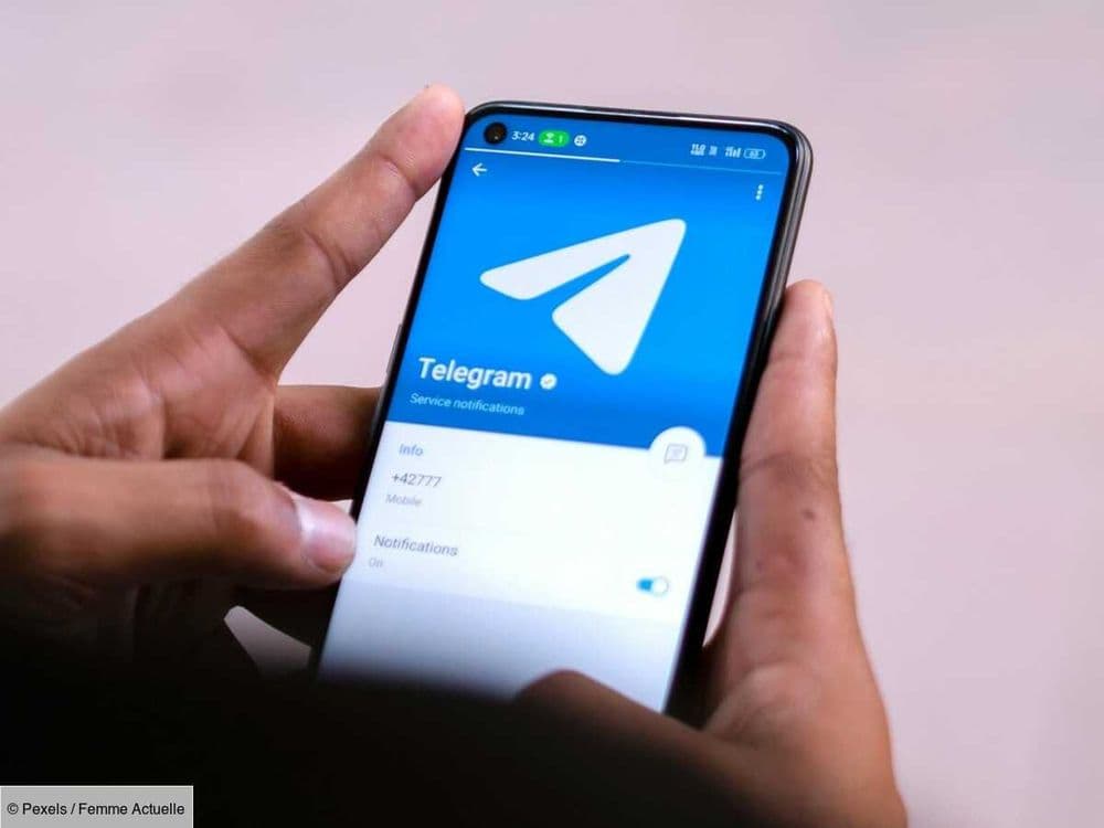 Pères de famille, prêtre, ambulancier... 55 hommes interpellés pour leurs activités pédopornographiques sur Telegram lors d'un vaste coup de filet