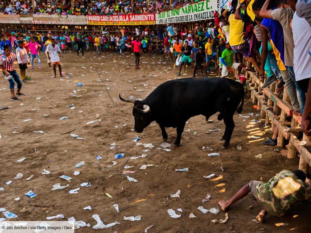 La Colombie interdit la Corrida : quels sont les 7 pays qui l'autorisent toujours ?