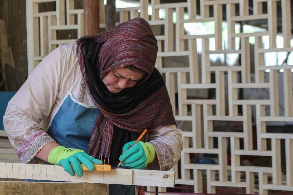 Dans une vallée pakistanaise, la petite révolution des travailleuses