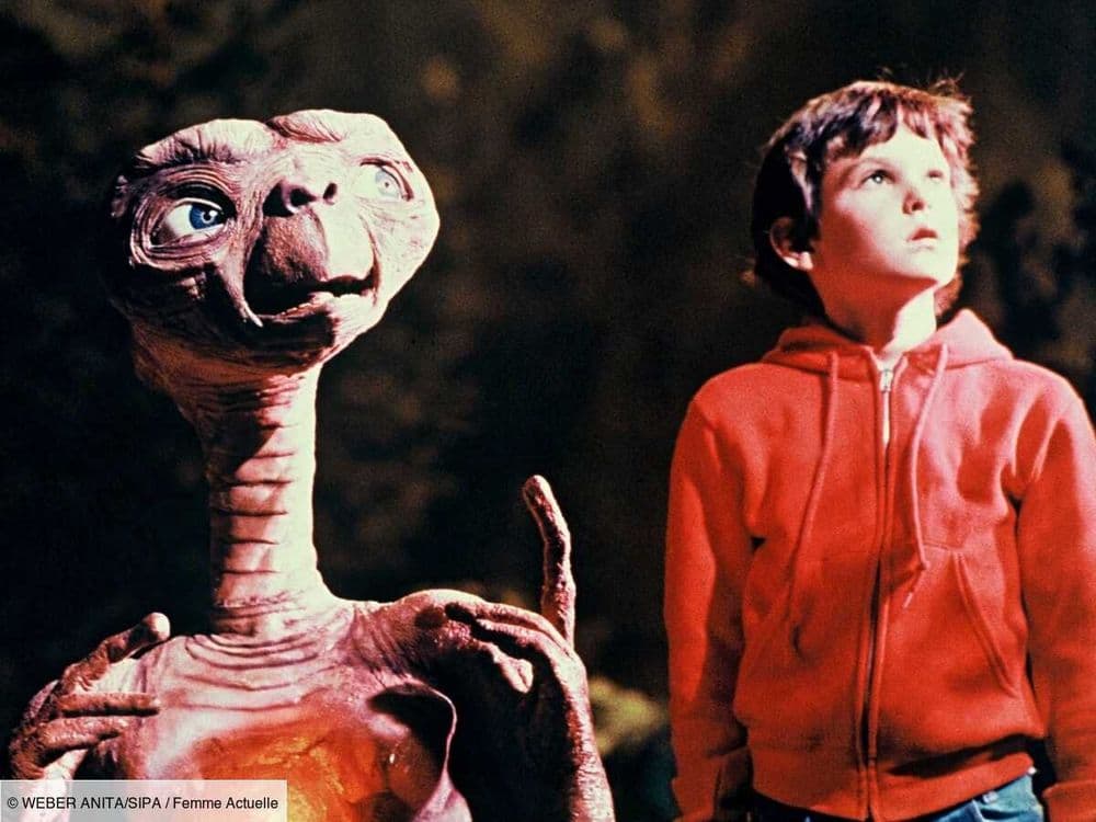 De la saga familiale au véritable film d'horreur, les 12 meilleurs films d'aliens à voir et à revoir sans attendre