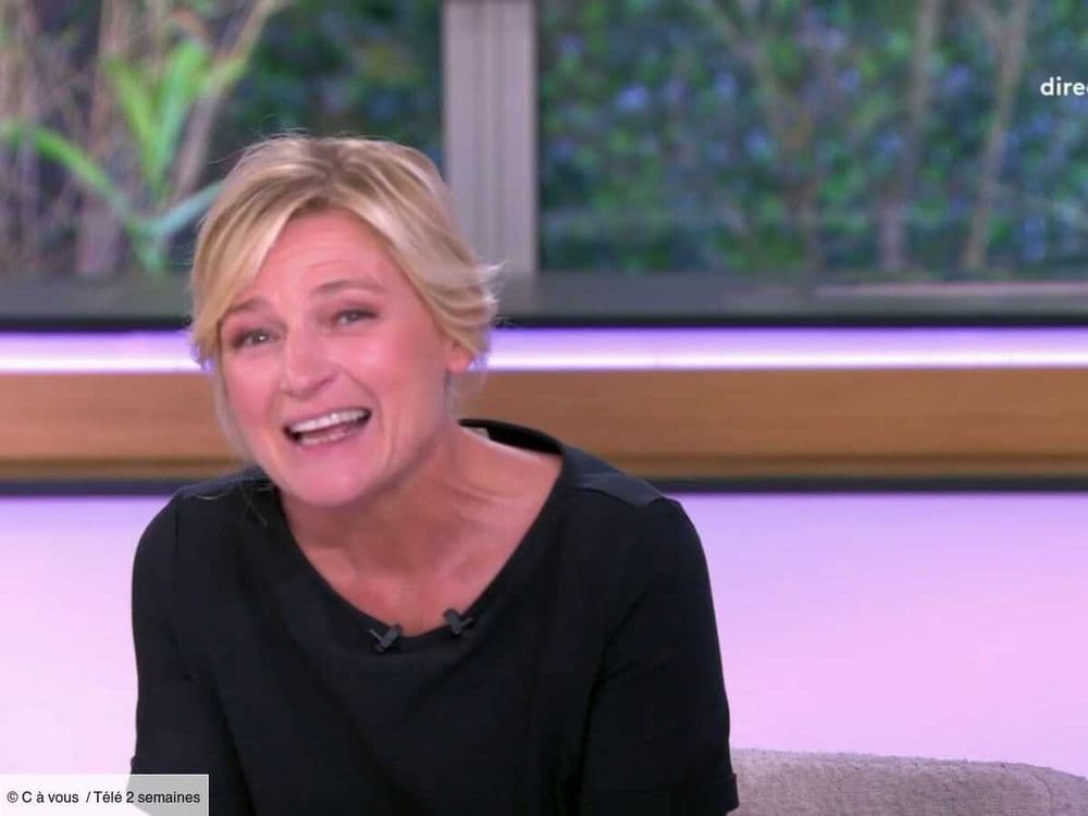 "Il nous a posé un lapin" : Anne-Elisabeth Lemoine très gênée, sa mise au point suite à l'absence du chef dans C à vous