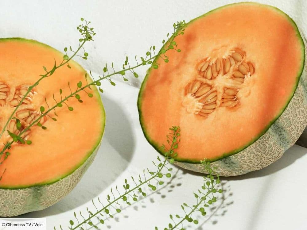 Melon charentais : 5 signes qui prouvent qu’il est prêt à être dégusté !