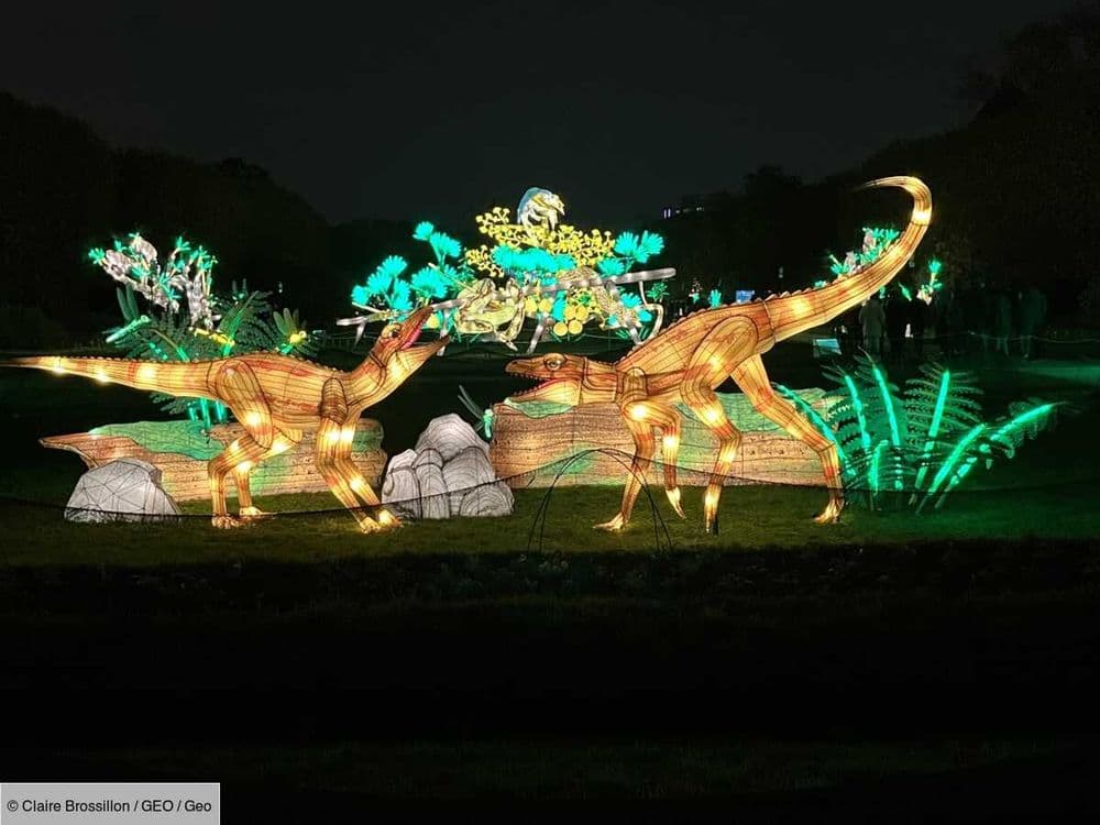 Le Jurassique "En Voie d'Illumination" au Jardin des Plantes