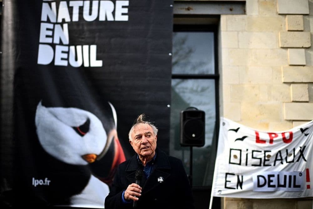 Loi "Duplomb": des ONG crient au "scandale" sanitaire et environnemental