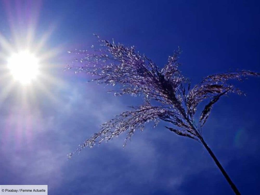 Soleil, températures en hausse : une météo clémente attendue cette semaine sur toute la France grâce au "blocage en omega", de quoi s'agit-il ?