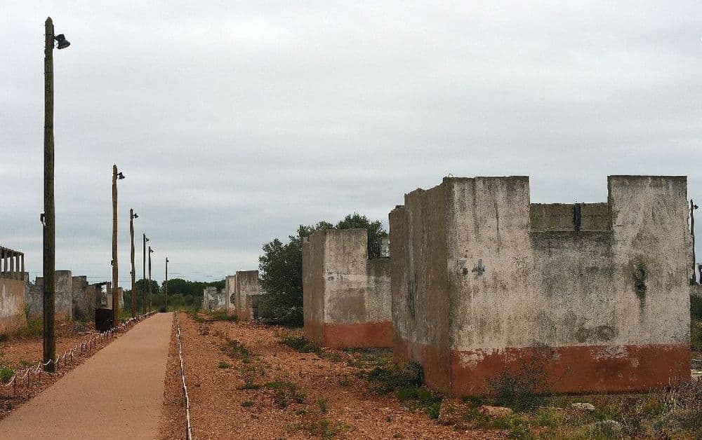 France : des familles inquiètes du retard de fouilles pour retrouver des tombes d'enfants harkis