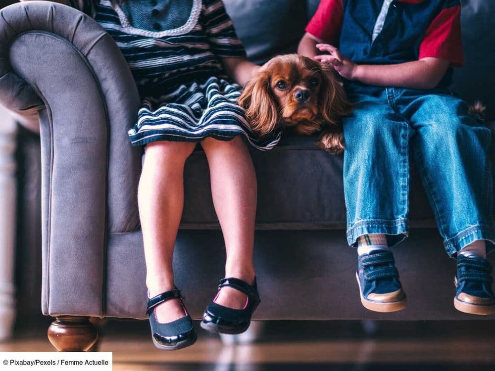 La carte familles nombreuses plus facile à obtenir, découvrez les modalités simplifiées bientôt mises en place