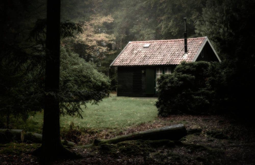 Il a caché ses enfants plusieurs années dans la forêt par peur du Covid