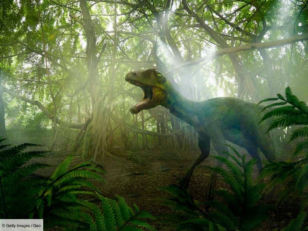 Des empreintes identiques de dinosaures retrouvées de part et d'autre de l'Atlantique