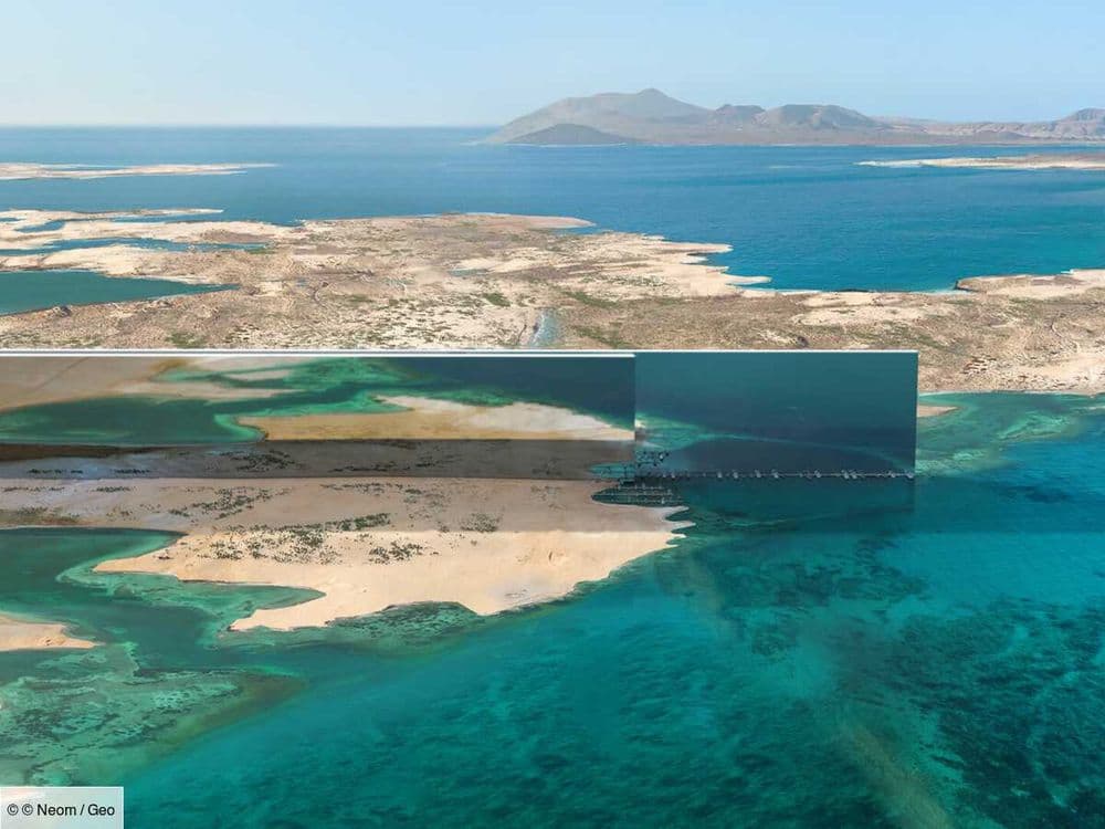 Arabie saoudite : le mégaprojet "Neom" pourrait ne pas être aussi imposant, ni aussi attractif que prévu