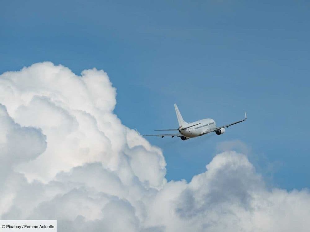 "Il est possible d’affirmer avec certitude que..." : ce que dévoile l’analyse du débris de l'avion disparu du vol MH370 de la Malaysia Airlines