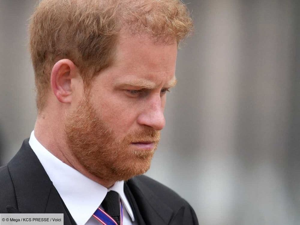 Une experte balance sur les "luttes" secrètes du prince Harry depuis qu'il a quitté la famille royale