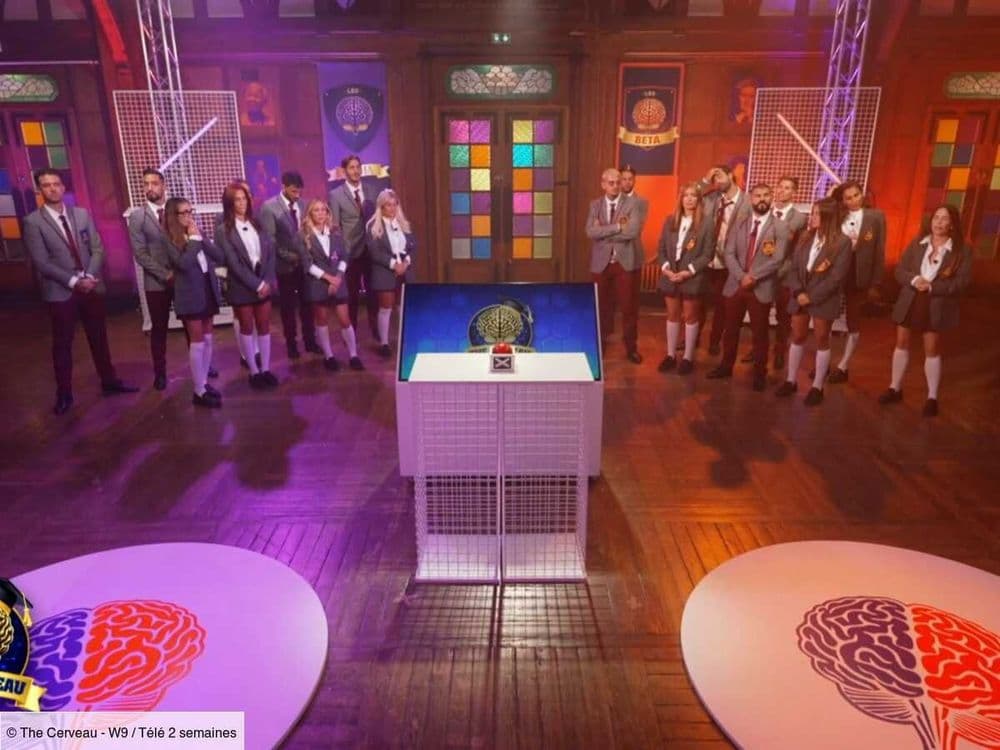 The Cerveau : découvrez le candidat éliminé ce mercredi 11 décembre