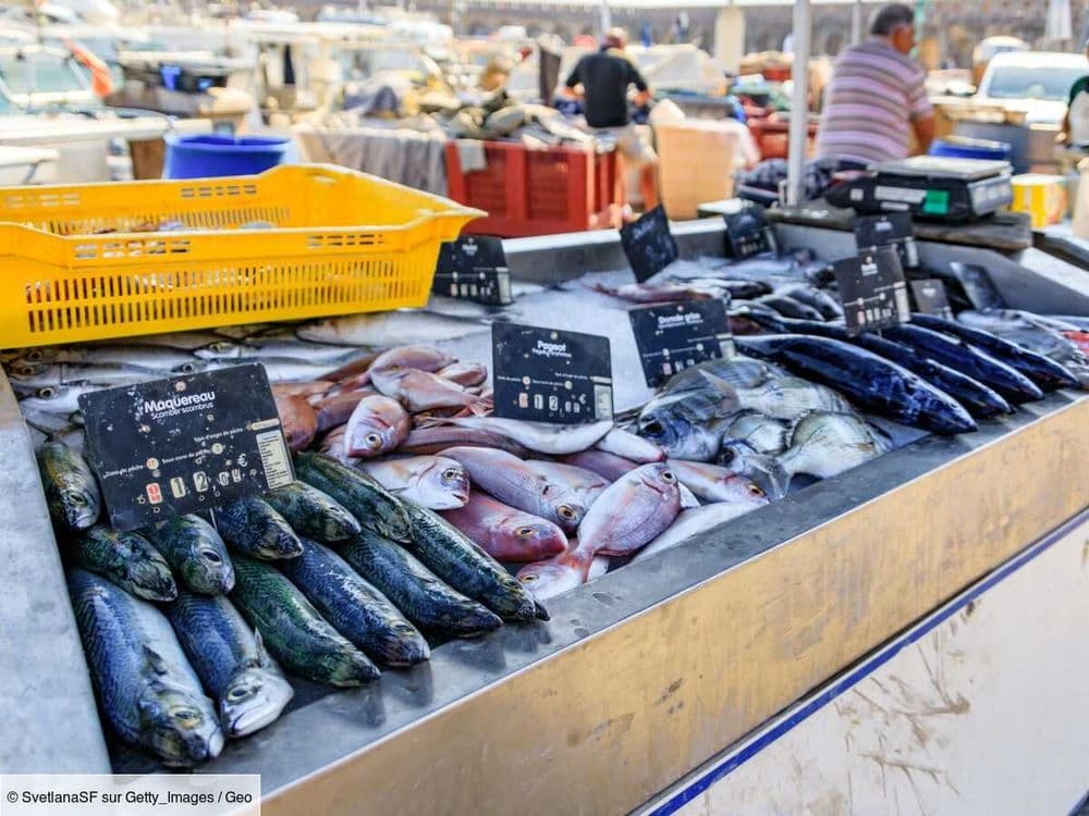 Pêche durable: 5 questions à poser absolument avant d'acheter du poisson