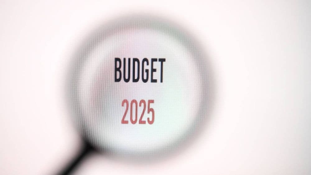 Impôts sur l'immobilier, hausse de la flat tax... Ces 3 mesures censurées dans le nouveau budget 2025