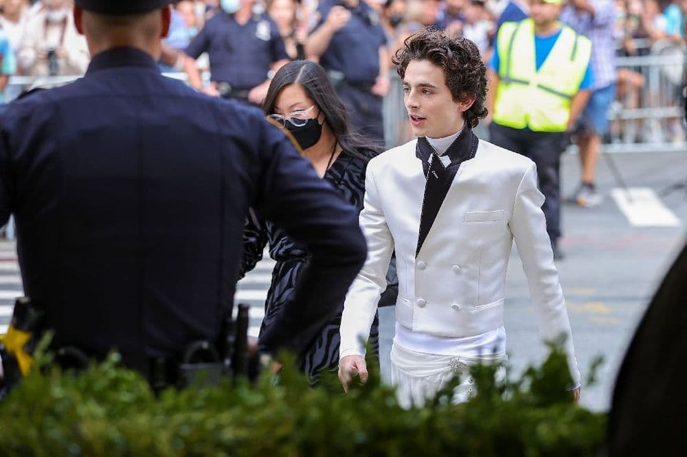 Timothée Chalamet s'invite à son propre concours de sosies