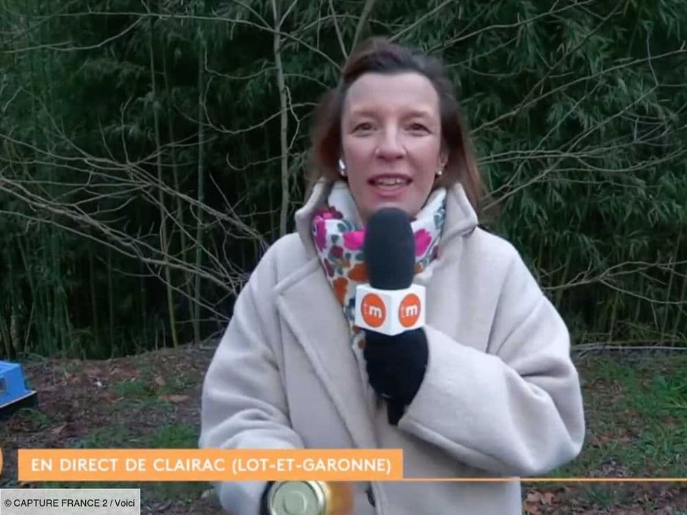 Julie Poirier : la chroniqueuse de Télématin, belle-fille de Gérard Holtz, est enceinte