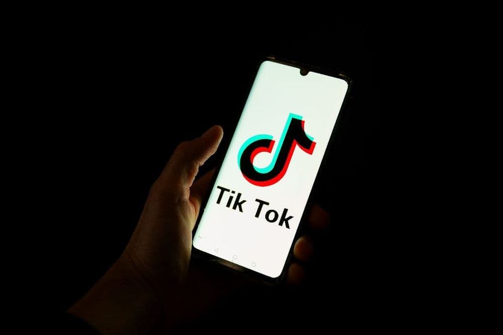 L'Assemblée lance une commission d'enquête sur les effets psychologiques de TikTok