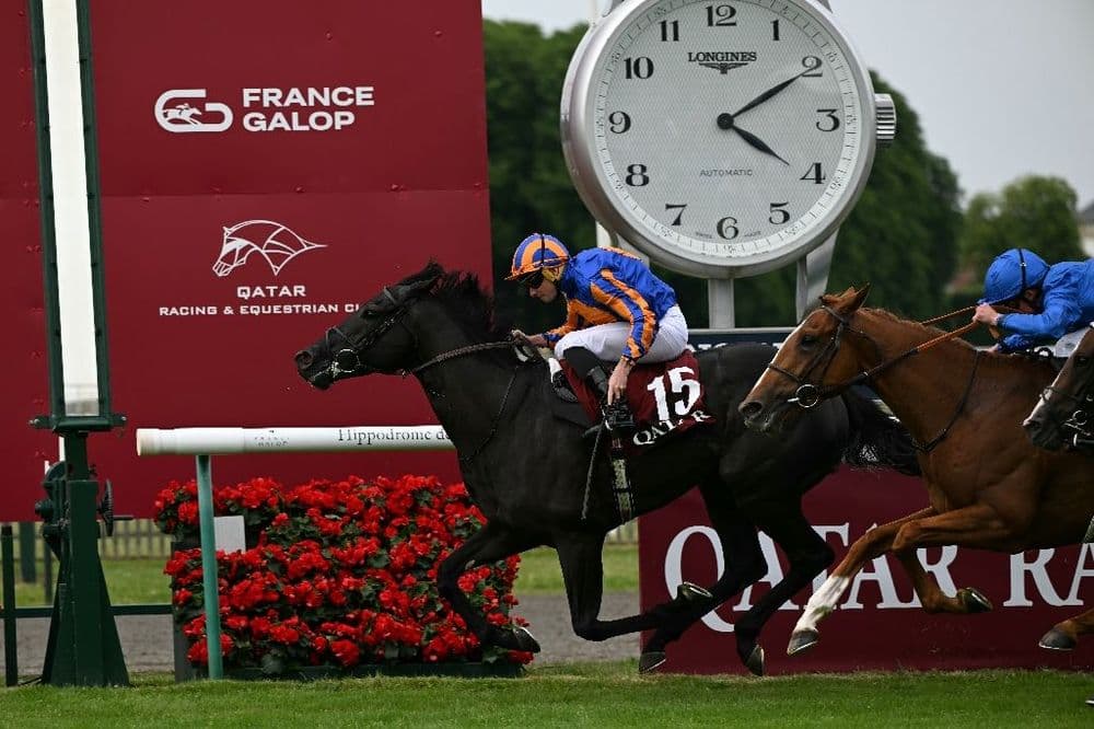 Le pur-sang irlandais Camille Pissarro, champion d'Europe sur 2.100 mètres