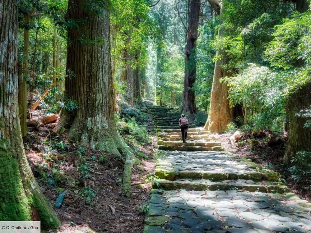 Pèlerinage au Japon: récit d’une aventure mouvementée sur le mythique Kumano Kodō
