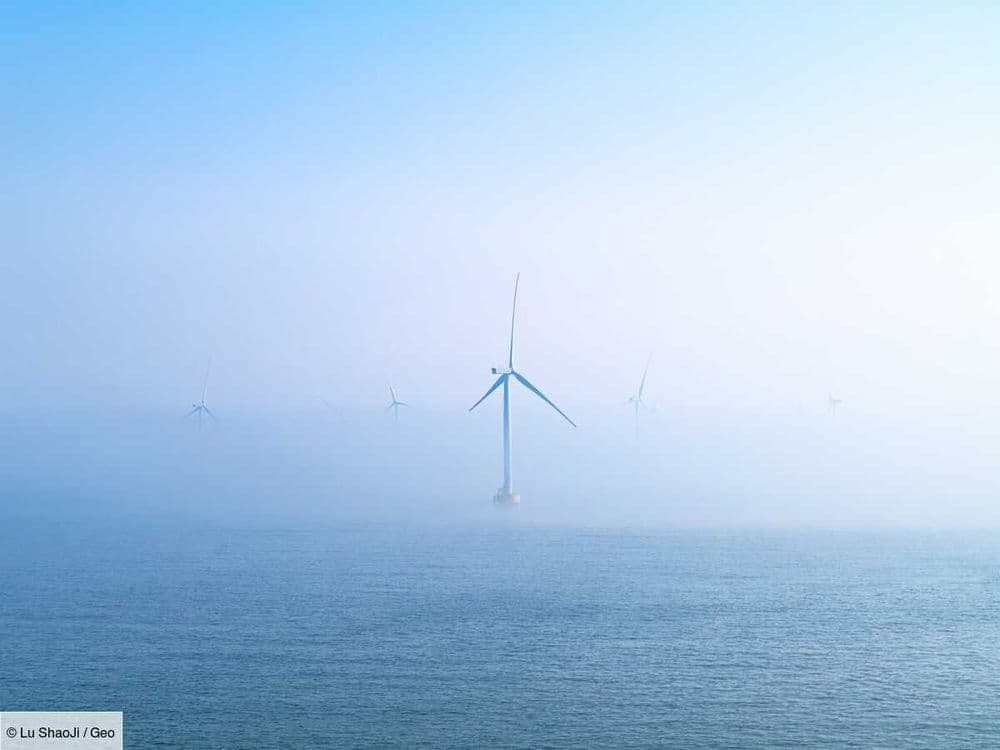 Au large de Dunkerque, un futur parc éolien déchaine les passions
