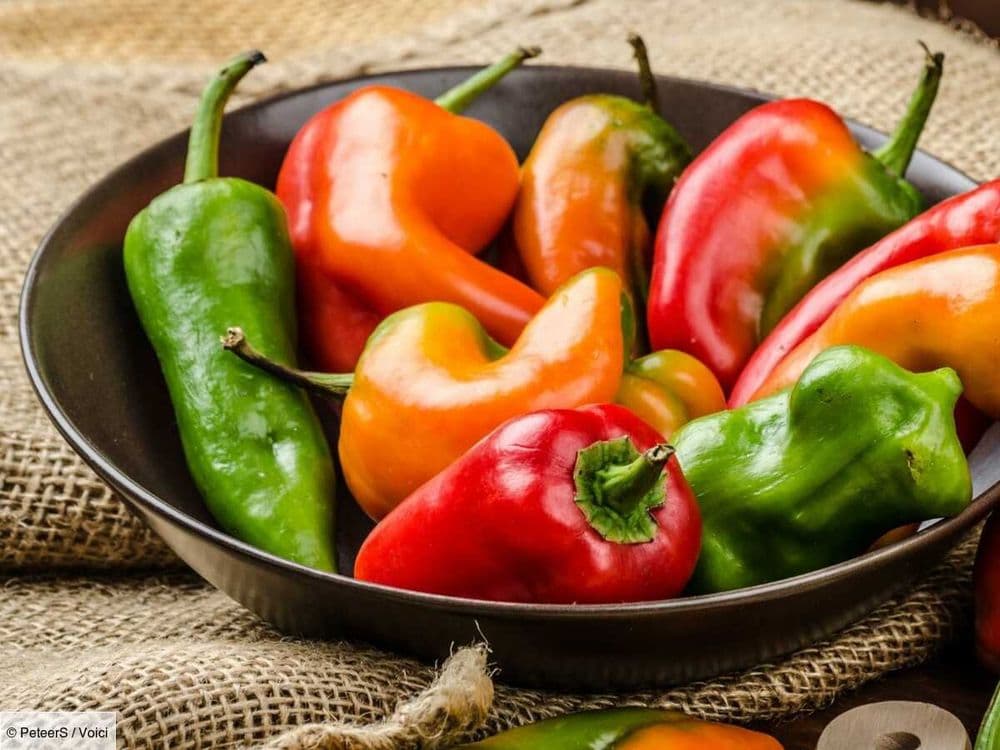Piment végétarien : cette variété antillaise relève nos plats sans piquant