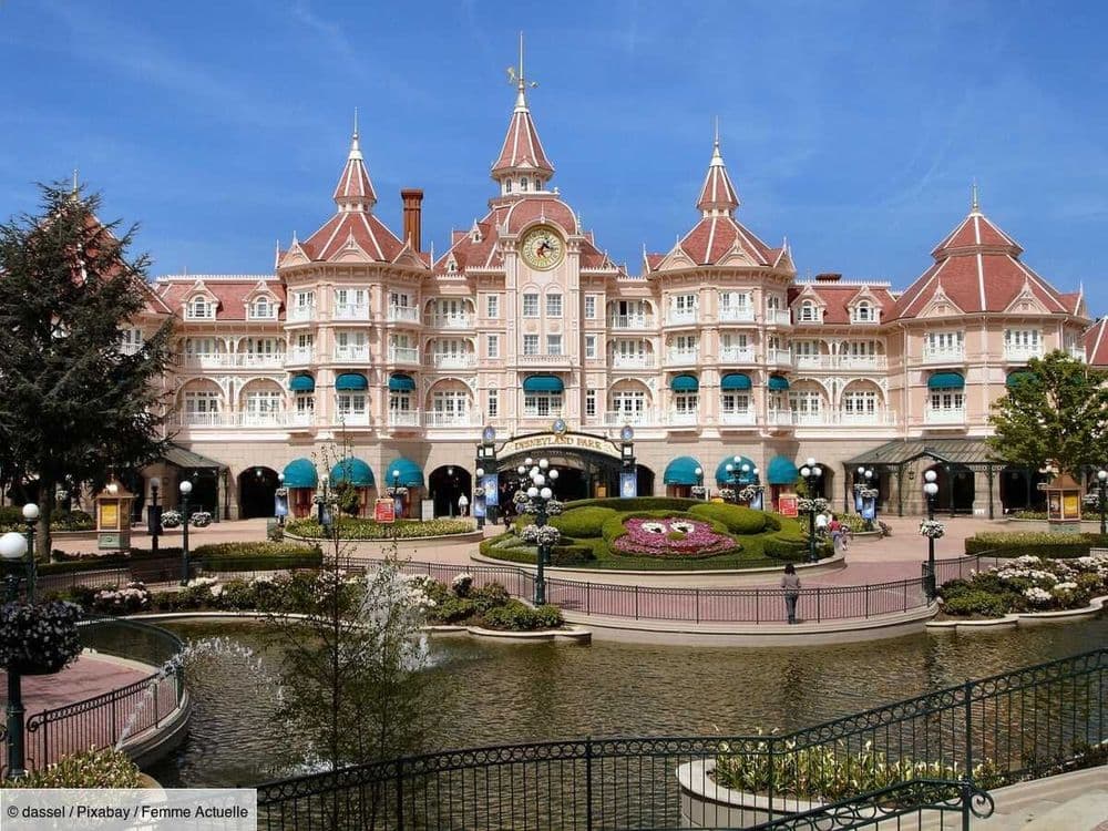 Que sait-on de l’homme qui a organisé le faux mariage à Disney ?