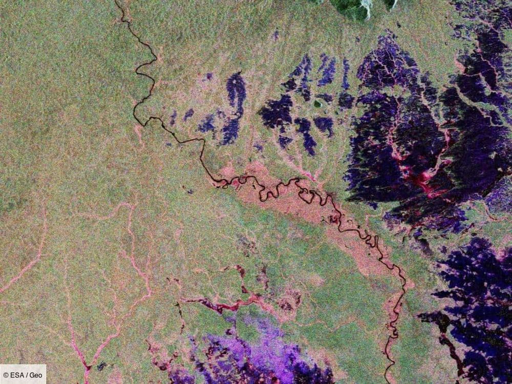 Le satellite Biomass dévoile les mondes cachés sous la canopée des forêts tropicales, une première