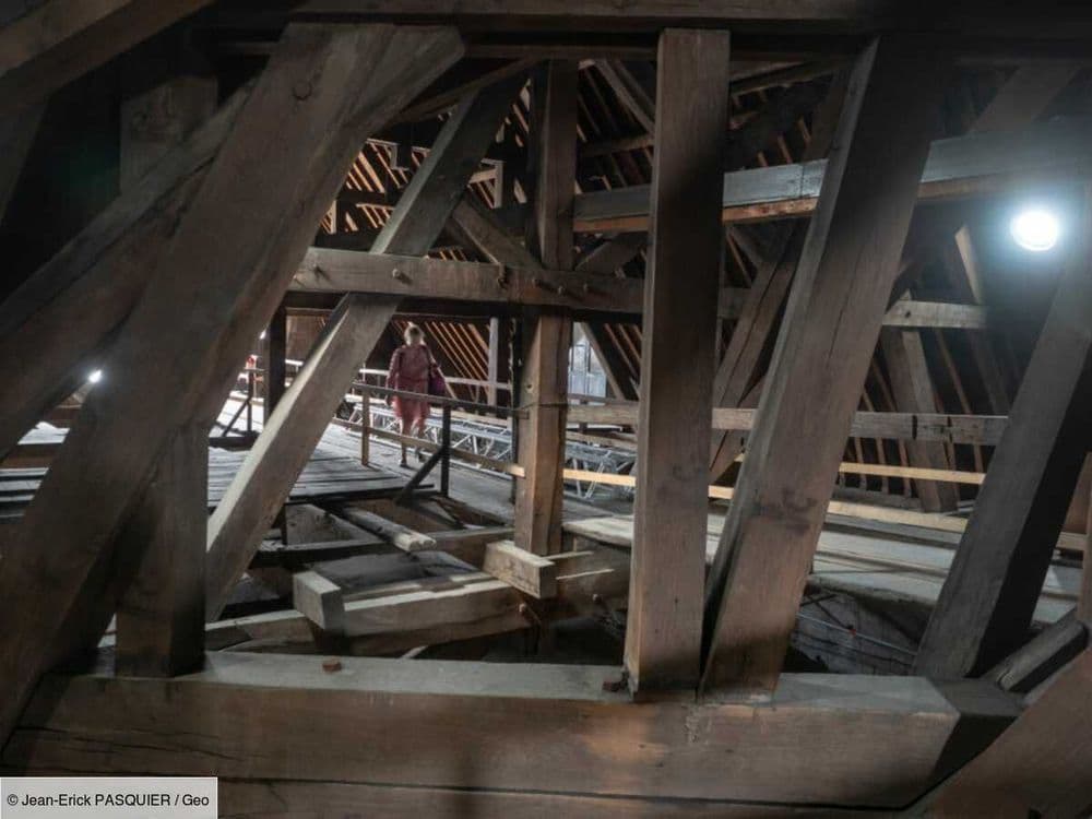 Le "coup de bol" architectural qui sauva Notre-Dame