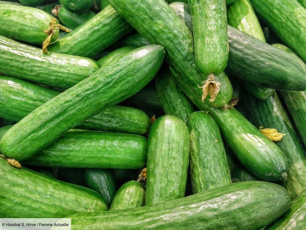 Quand et comment planter les concombres et cornichons ?