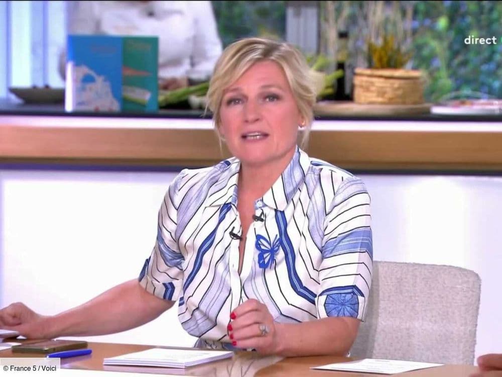 Anne-Elisabeth Lemoine en deuil, elle rend un bouleversant hommage à un invité qui a mis fin à ses jours dans C à vous (ZAPTV)