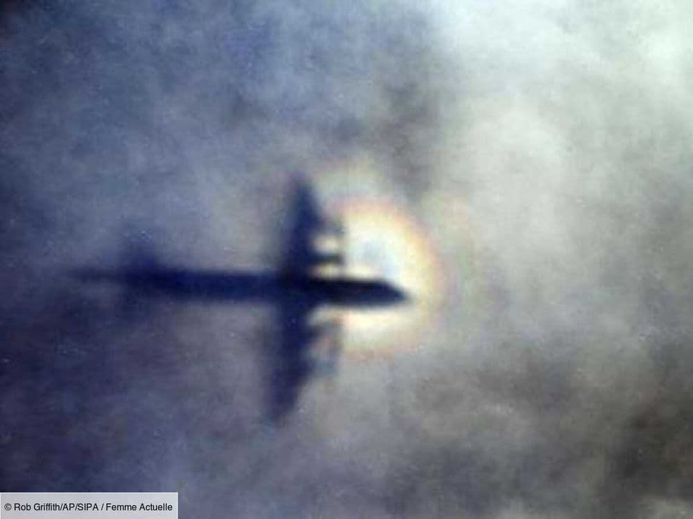 Cette théorie sur l'avion de la Malaysia Airlines : "Le MH370 n'a pas disparu, on l'a fait disparaître"