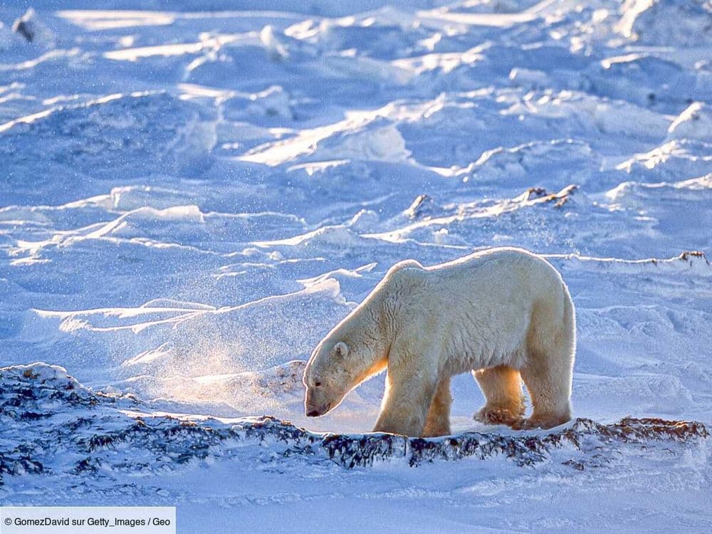 Du mercure continue de se déverser dans l'Arctique, et on sait maintenant d'où il provient