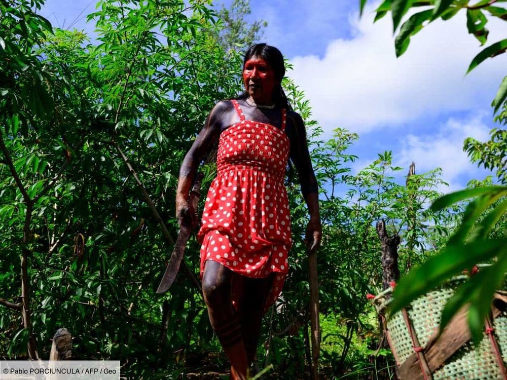 Comment le village du chef Raoni résiste-t-il à la déforestation qui ravage l'Amazonie?