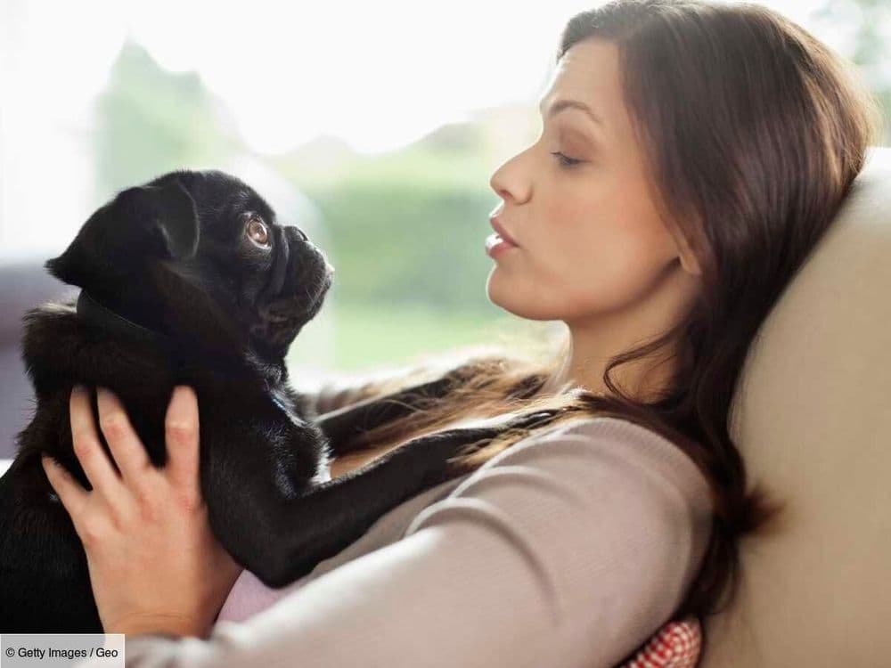 Grâce à cet outil, il serait possible de communiquer avec son chien selon une nouvelle étude