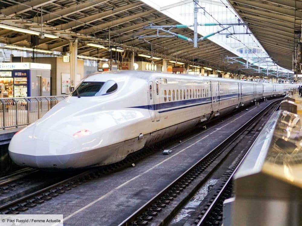 Les différentes astuces pour éviter le vol de bagages dans le train et voyager plus sereinement