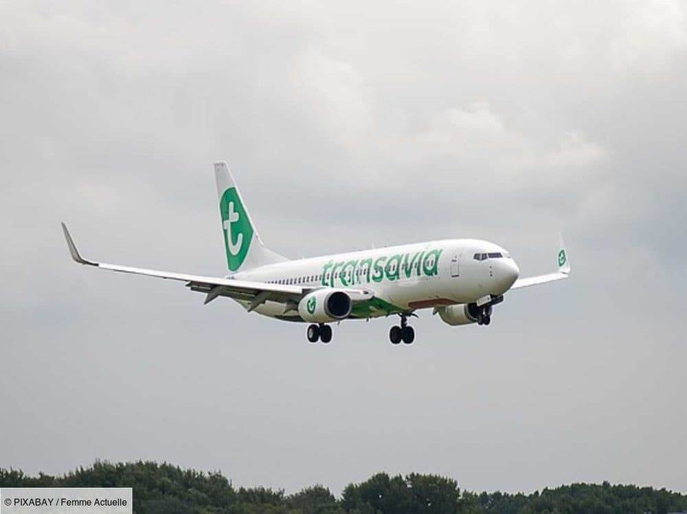 Vous avez acheté un billet d'avion sur Transavia ? La compagnie va vous demander un supplément et vous serez obligé de payer, voici pourquoi