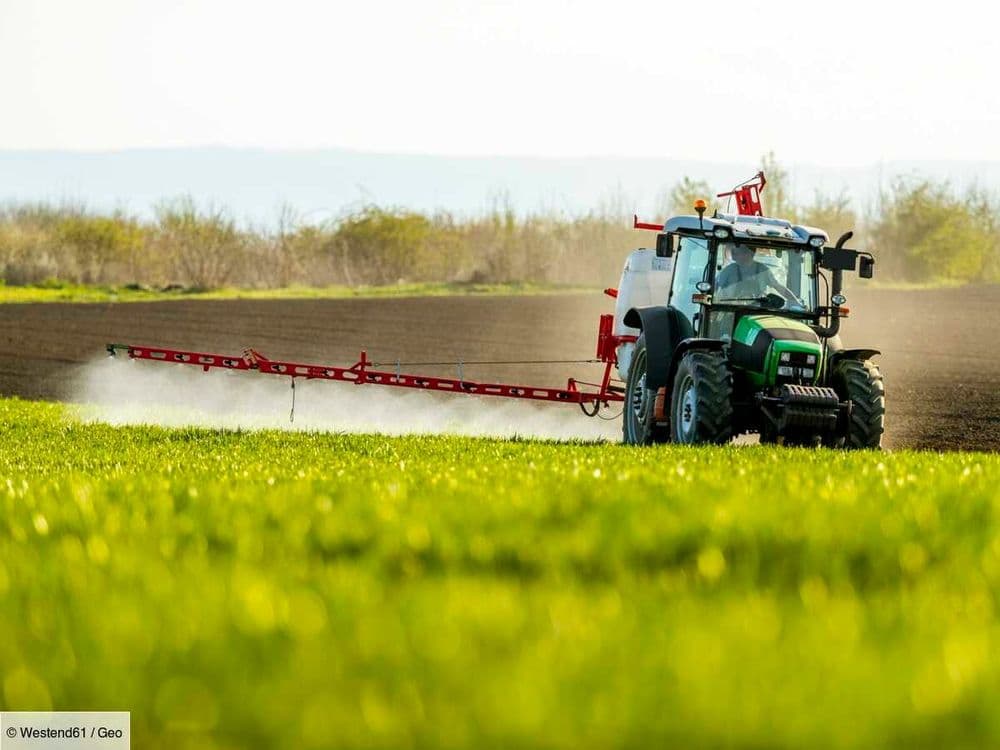 Pesticides, eau, élevage: ce que contient la loi Duplomb, contestée par les défenseurs du climat