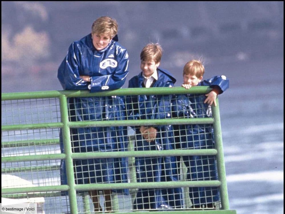Lady Diana : son ancien amant, James Hewitt, refait surface et s'exprime sur le prince Harry