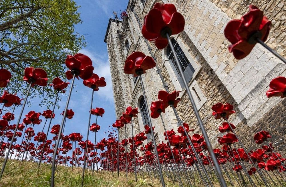 Tapis de coquelicots à la Tour de Londres pour les commémorations du 8 mai
