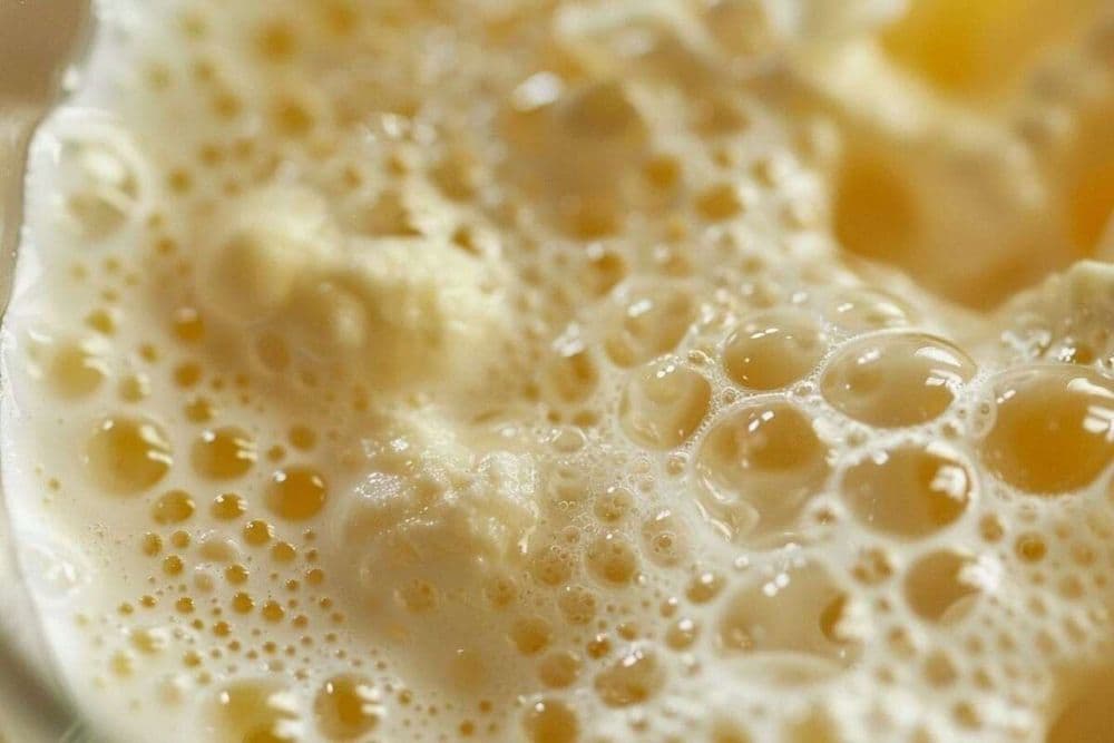 Les boissons fermentées naturellement, un remède pour la santé intestinale et les problèmes chroniques