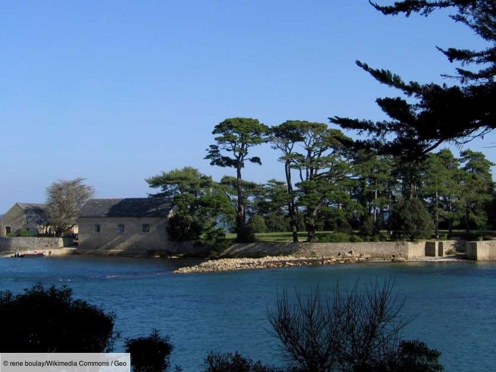 L'île de Berder dans le Morbihan, l'indomptable