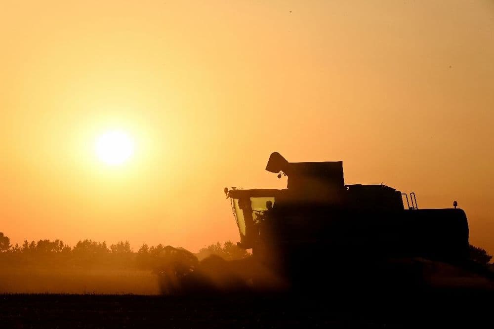 Agriculture: le Parlement adopte la loi Duplomb et la réintroduction sous conditions d'un pesticide