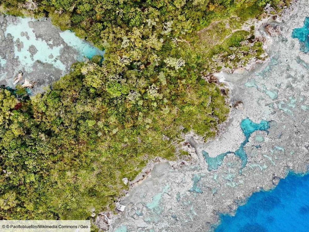 En Nouvelle-Calédonie, la très préservée Maré est la plus sauvage des îles Loyauté